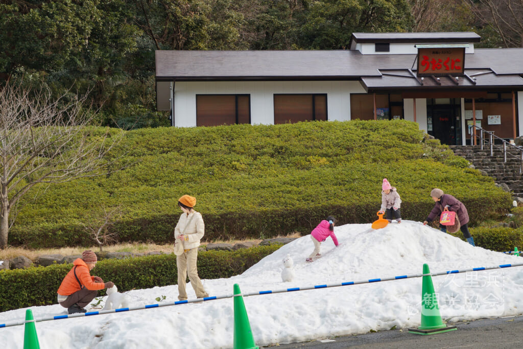 2014えっ花の国が雪の国