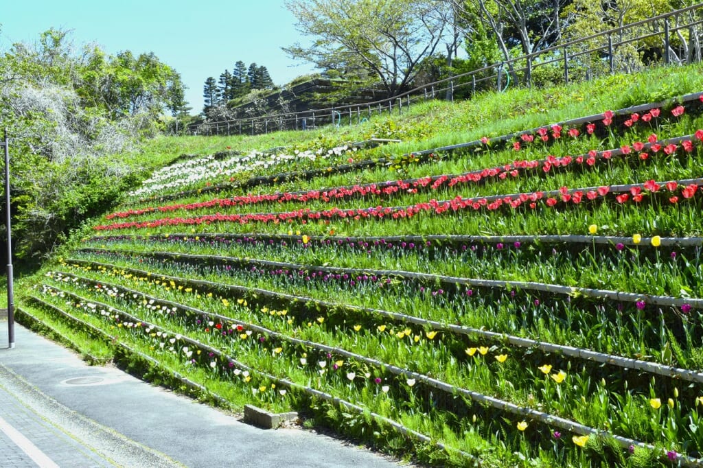 県木前花壇